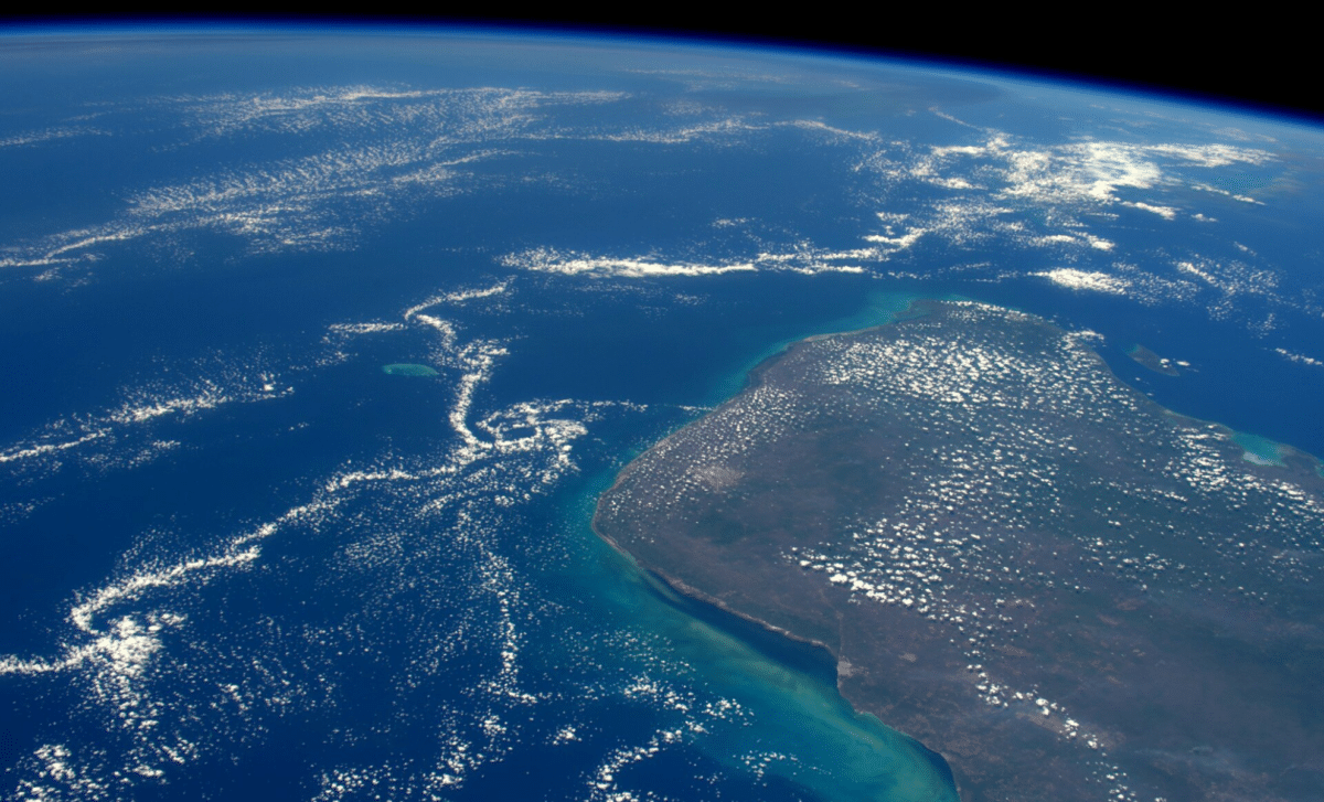 Asteroid Impact Sparked Rapid Evolutionary Surge Post-Dinosaurs 