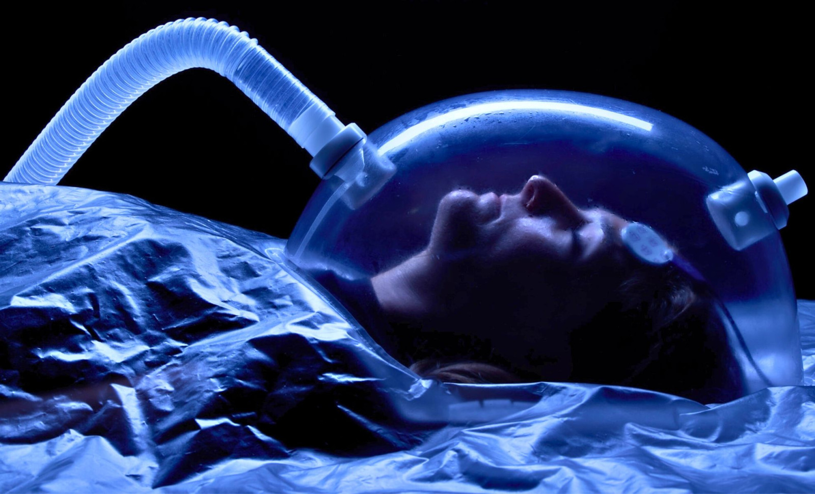 Exploring Human Hibernation: Could We Emulate Bears’ Metabolic Slowdown? 