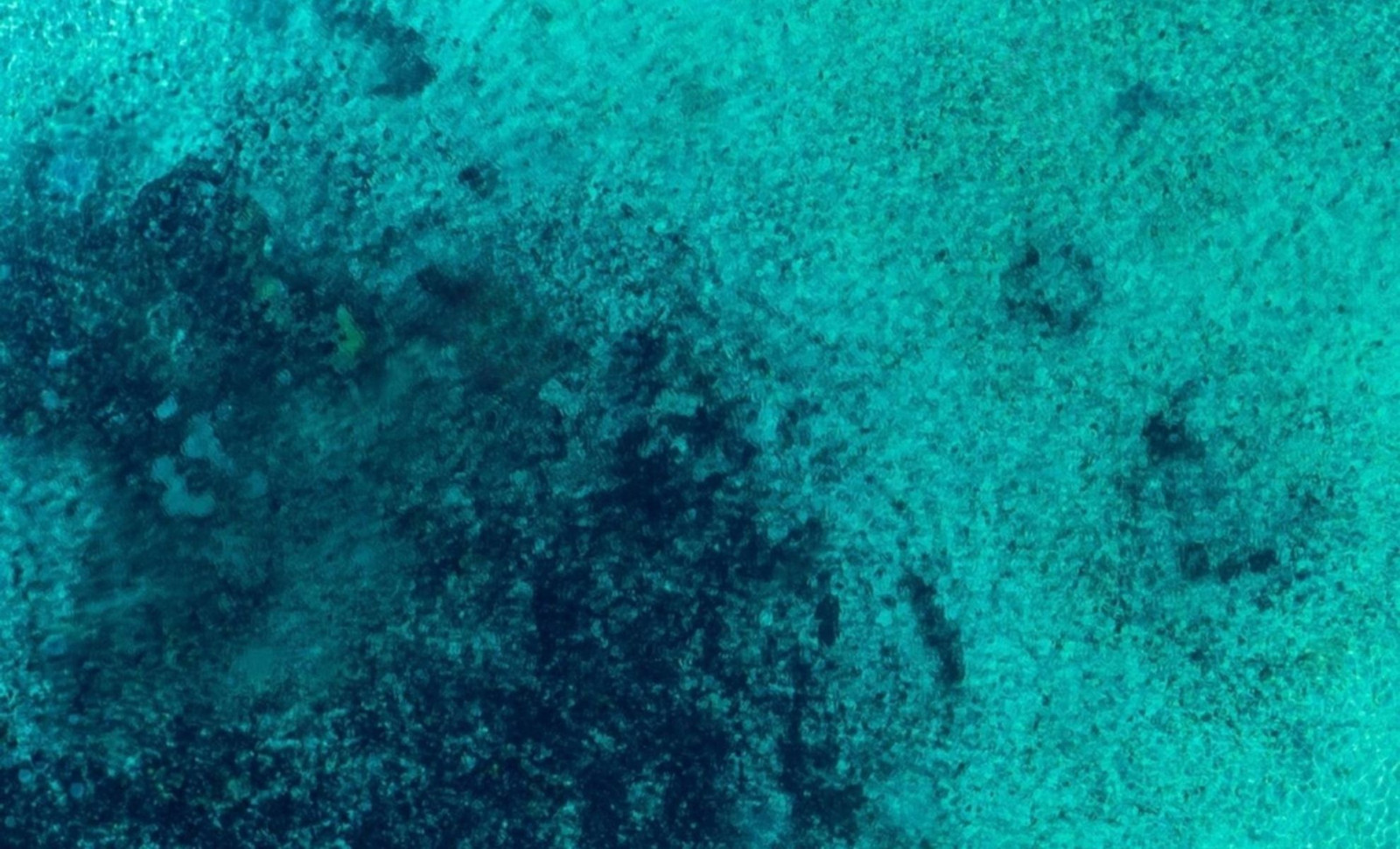 Researchers Uncover Lost Ocean Calcium That Influenced Post-Dinosaur Climate Shift 