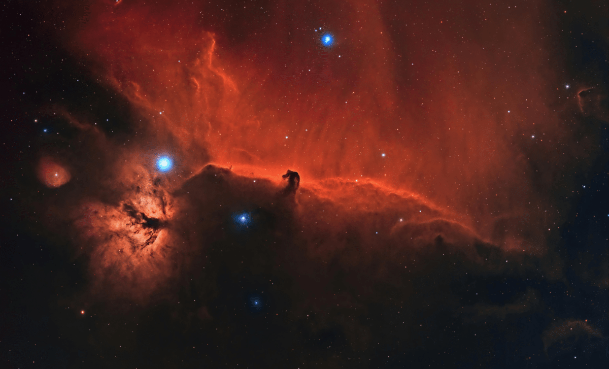 Orion’s Red, White, and Blue Stars Illuminate the January Night Sky 