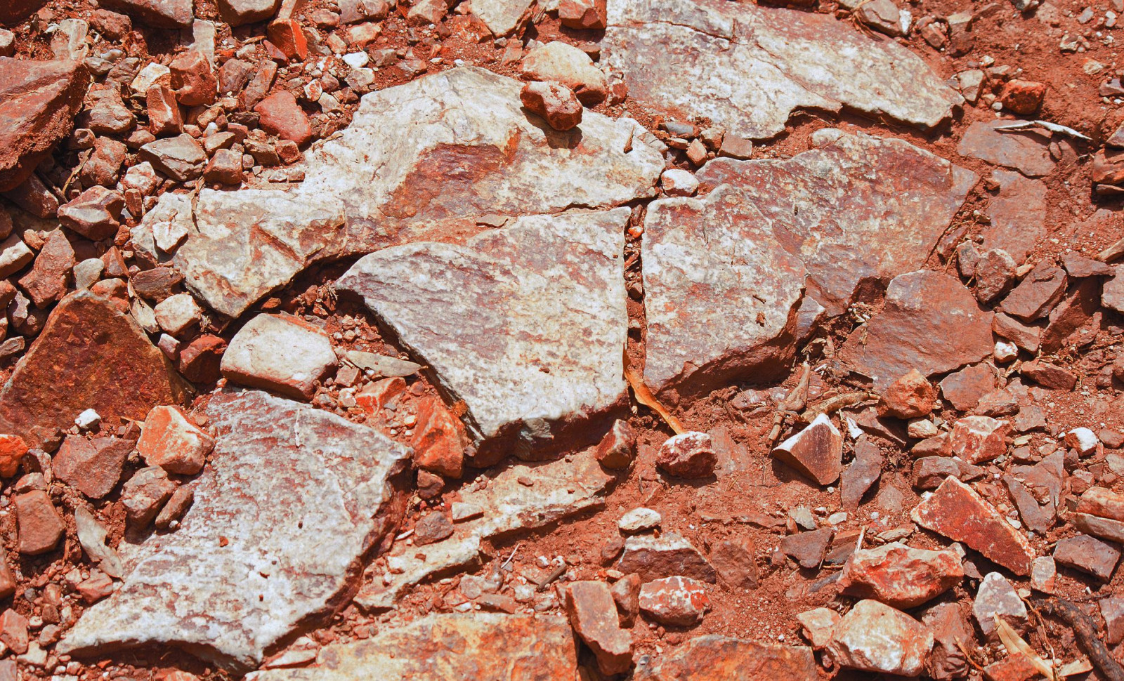 Researchers Uncover Exceptionally Preserved Fossils Encased in Iron-Rich Red Rocks 