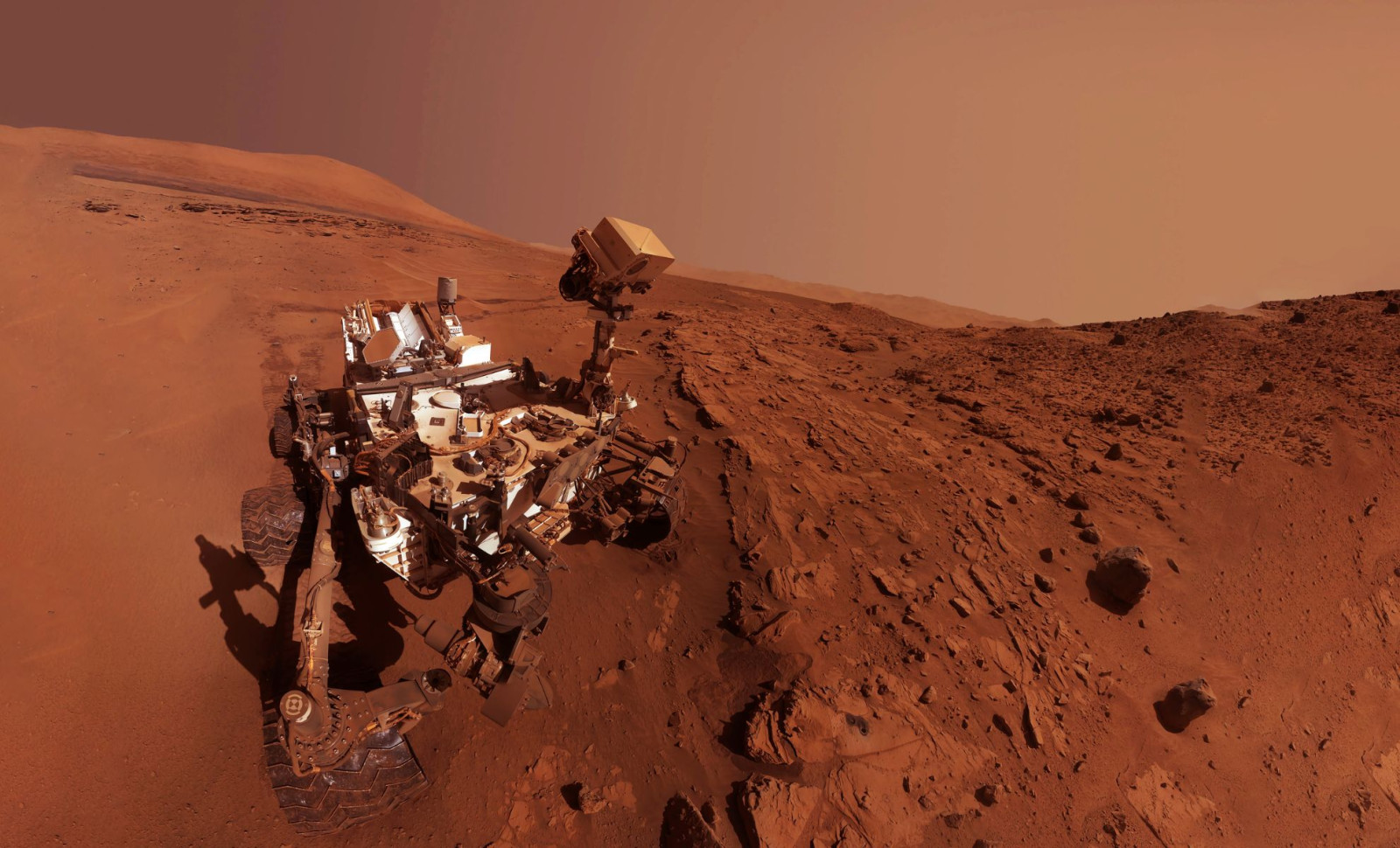 Curiosity Rover Uncovers Coral-Resembling Rock Formation on Mars 