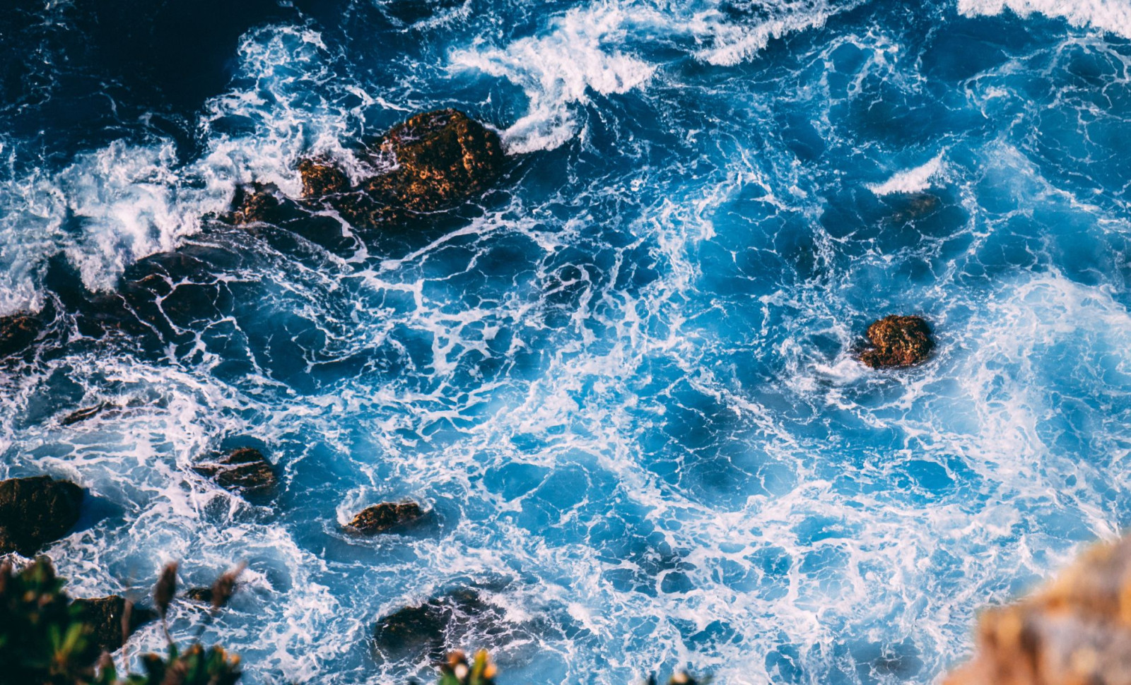 Ocean Fronts: Tiny Boundaries Playing a Huge Role in Carbon Capture 