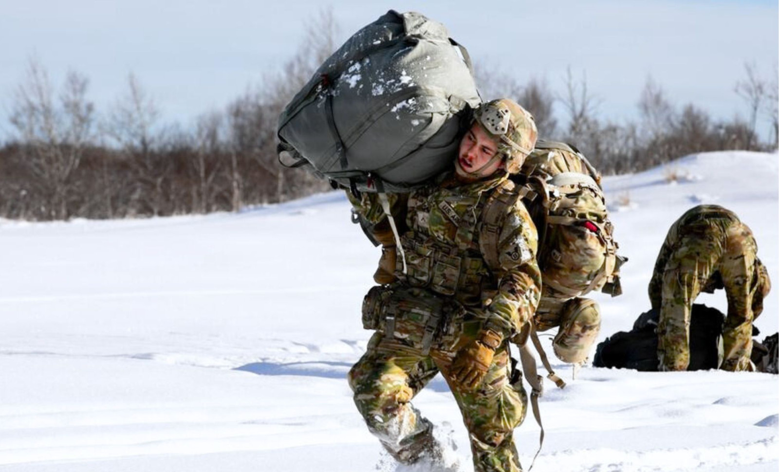 Wild Bear Encounters Halt U.S. Arctic War Games in Northern Japan 