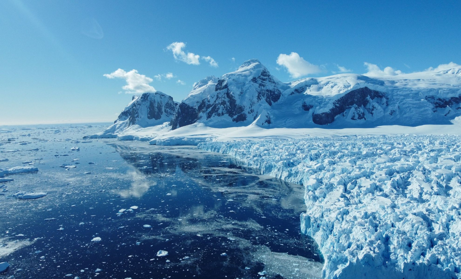 Scientists Reveal Intricately Patterned Fish Nests Beneath Antarctic Ice 