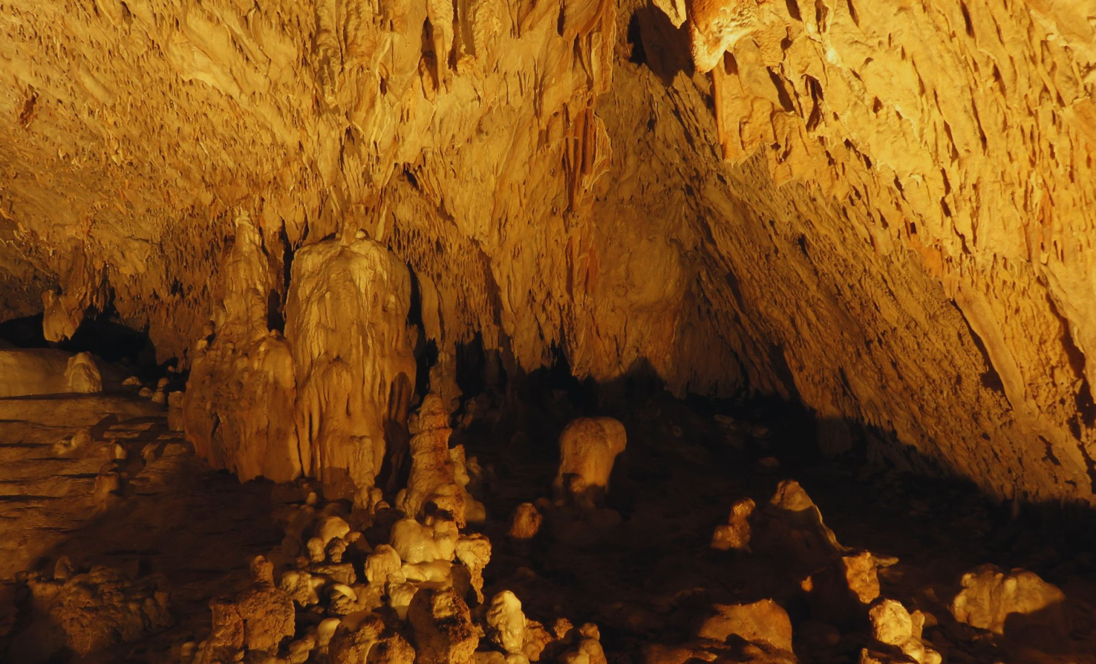 Unveiling a Rare Genetic Condition in Prehistoric Humans from an Italian Cave 