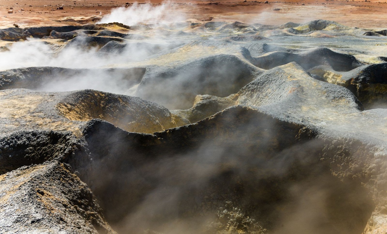 Why Dinosaurs Thrived in a Hotter World While Humans Struggle Today 