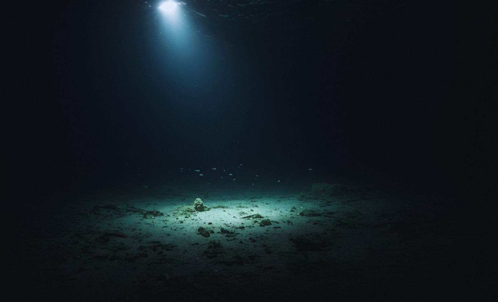 Discovering a Denisovan Jawbone Under the Taiwan Strait Sheds New Light on Human Evolution 
