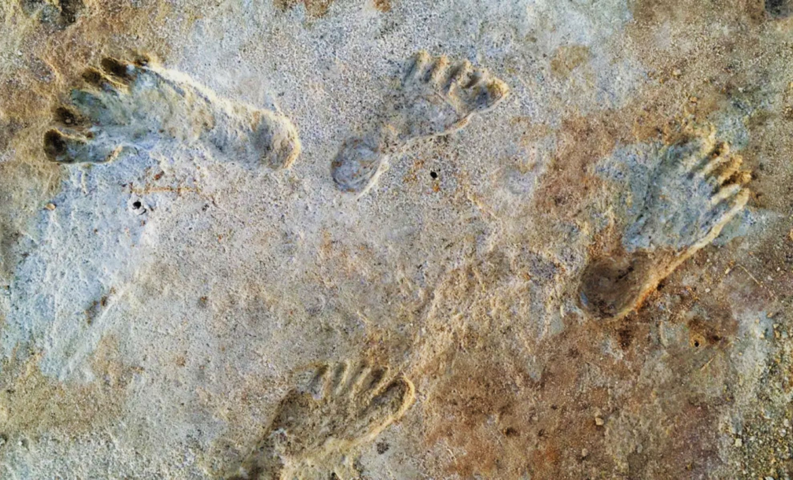 Ancient Human Footprints Unearthed in New Mexico Rewrite Migration History 