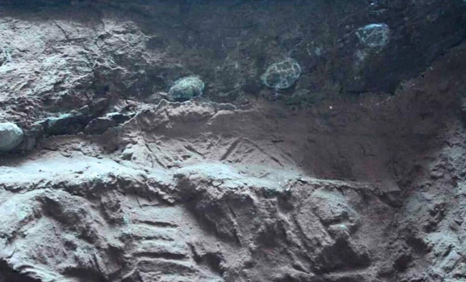 Massive Dinosaur Eggs from China Revealed to Contain Crystal Fillings Instead of Fossilized Embryos 
