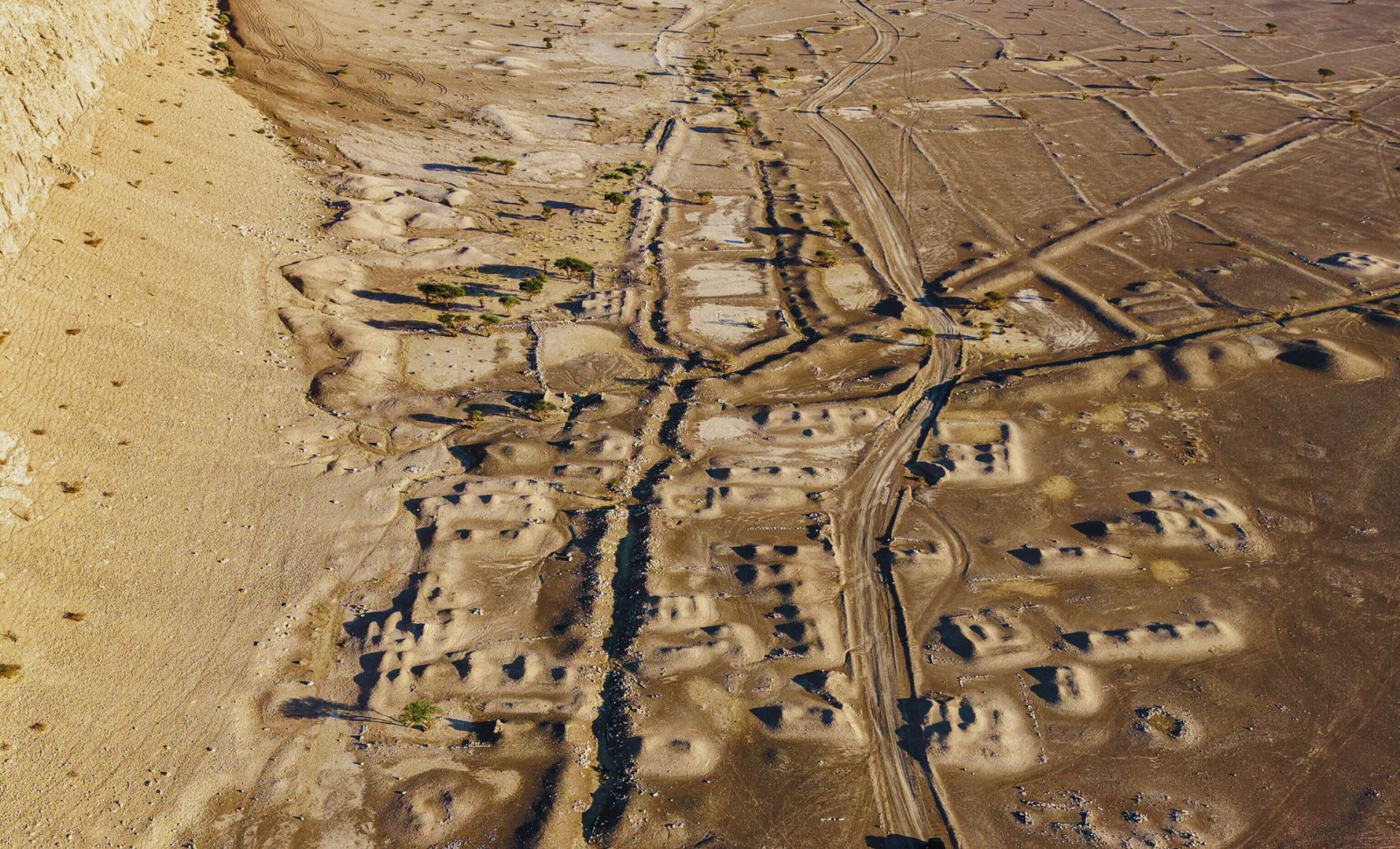 Ancient City Linked to Alexander the Great Unearthed After 1,200 Years Beneath Desert Sands 