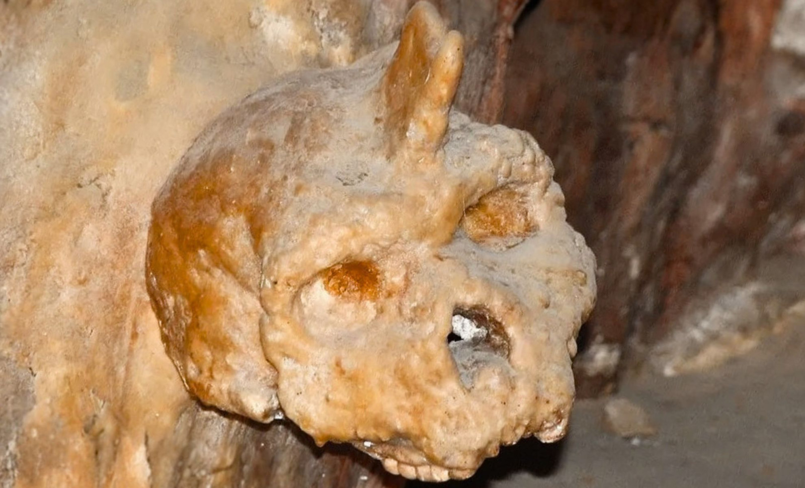 Ancient Greek Skull From 300,000 Years Ago Is Neither Human Nor Neanderthal, Scientists Reveal 