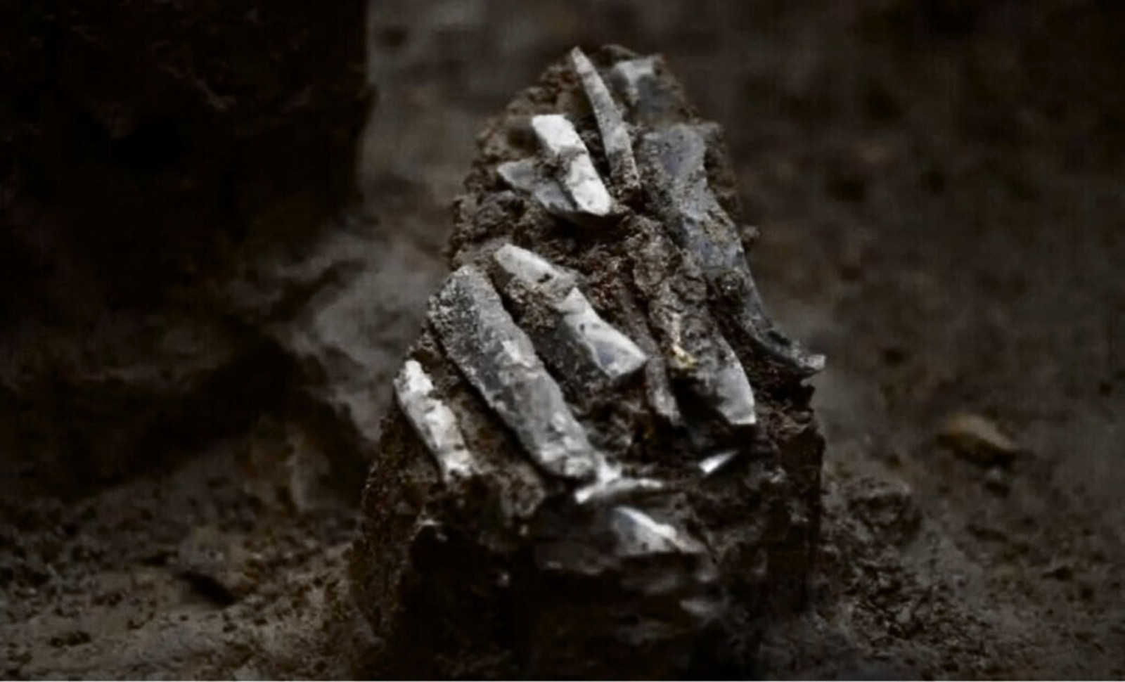 Ancient Ice Age Toolkit Unearthed After 30,000 Years Offers New Insights into Early Human Life 
