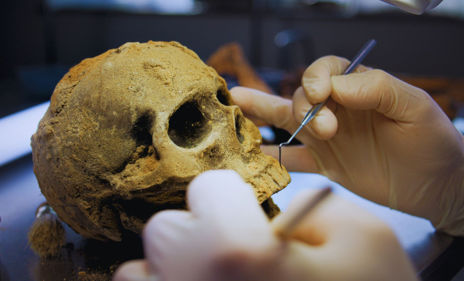 Chinese Fossil Skulls Redated to 1.77 Million Years, Revealing Early Homo erectus Presence 