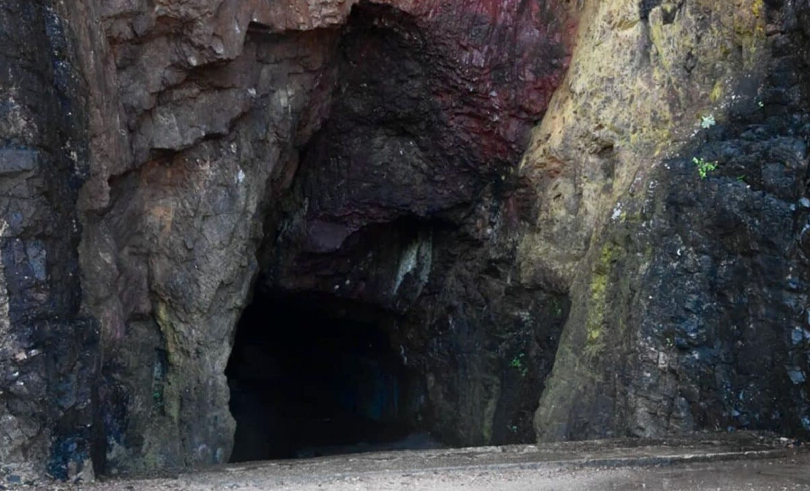 A Teenager’s Discovery in 1940 Revealed a 17,000-Year-Old Cave Brimming with Prehistoric Art 