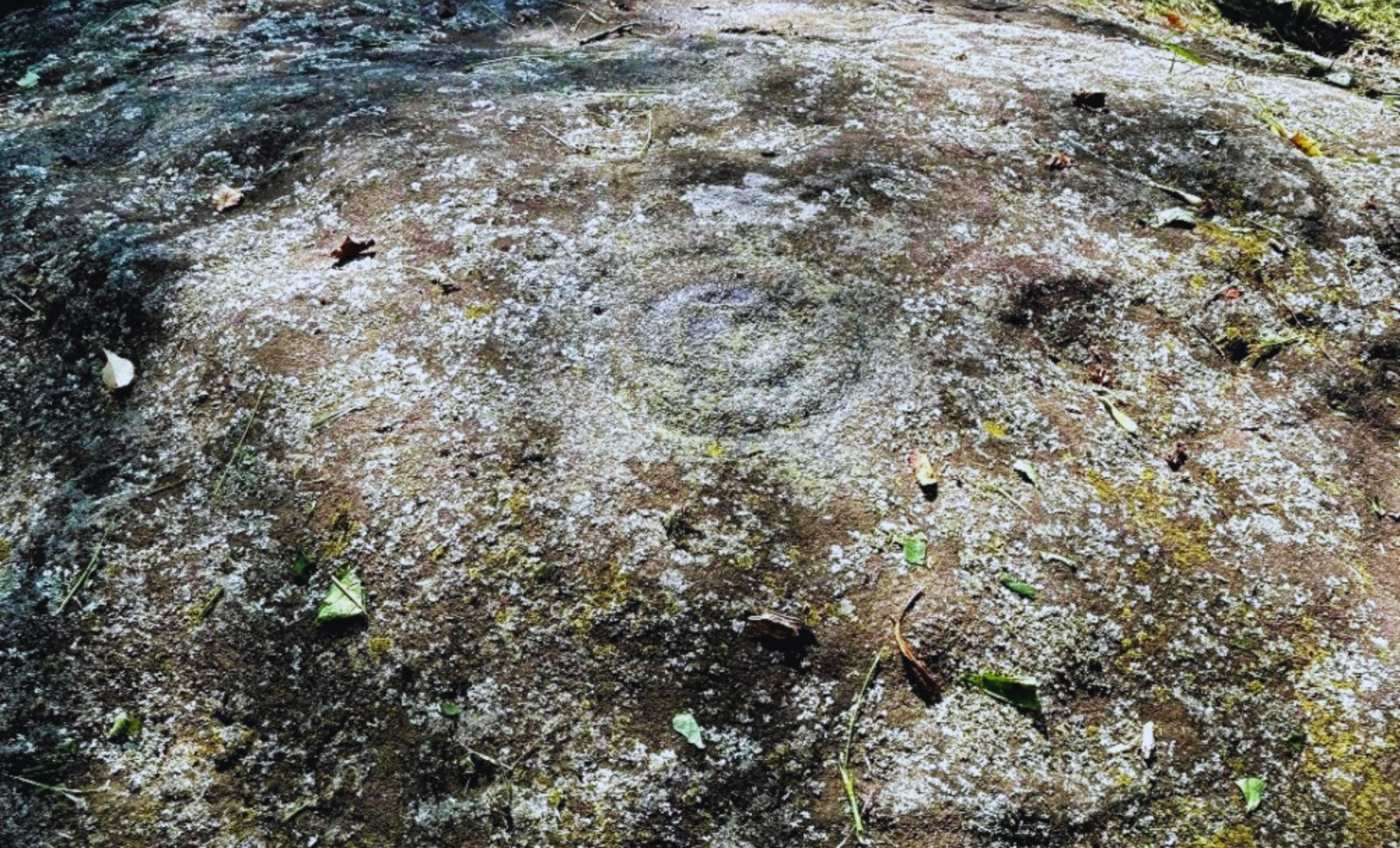 Ancient Boulder in Ohio Bears Mysterious Footprints and Symbols 