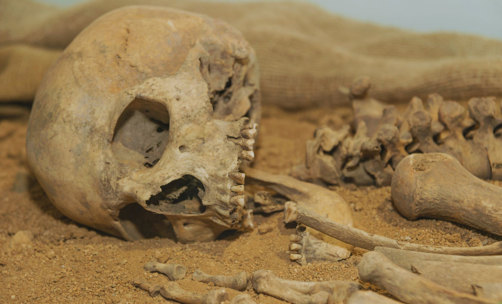 Scientists Recreate Face of Ancient Human Ancestor Using Almost Complete Skeleton 