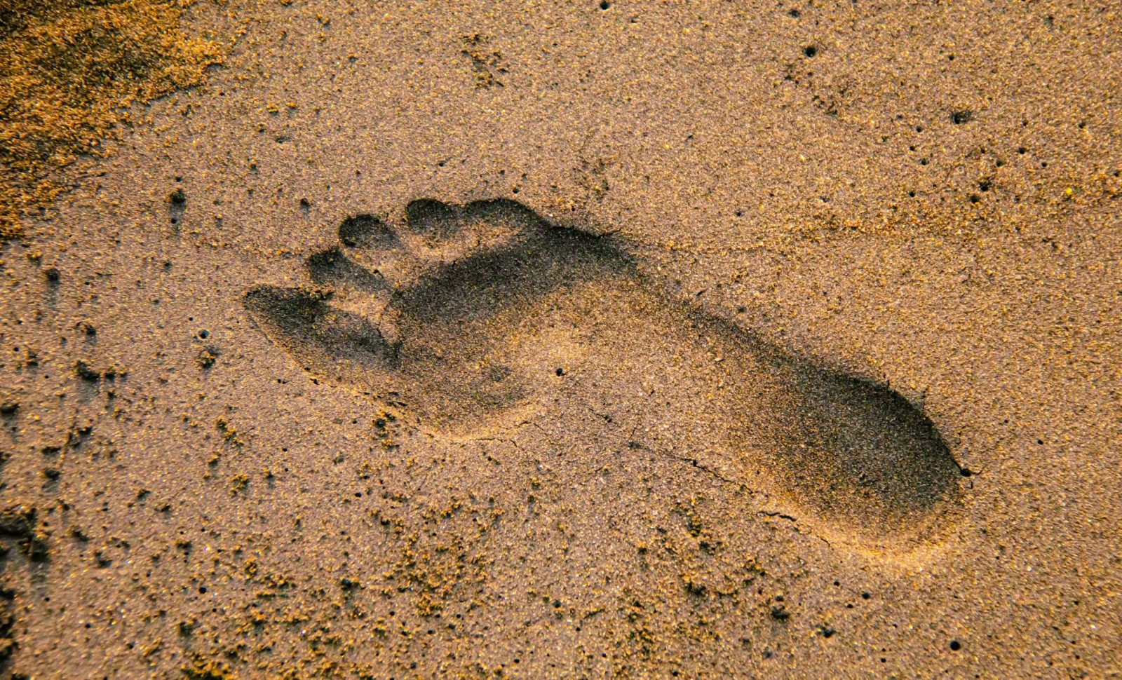 Ancient Human Footprints Unearthed at Lunan Bay Disappear Within Two Days 