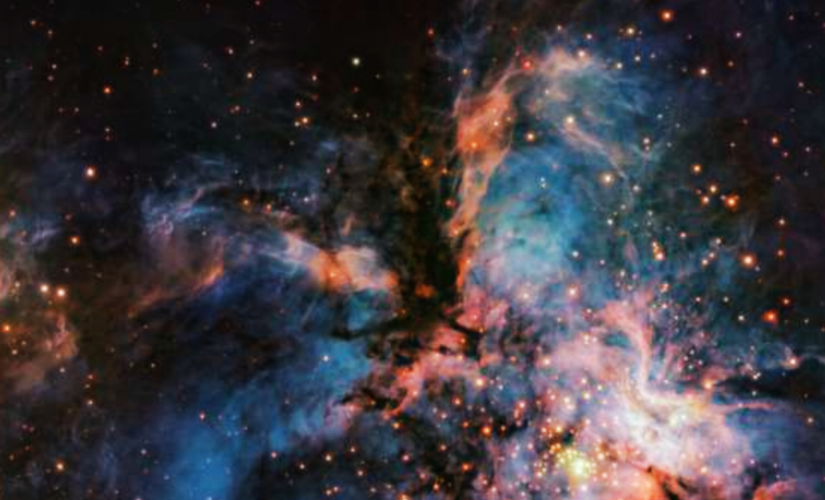 Unveiling Star Formation and Brown Dwarfs in the RCW 36 Nebula 