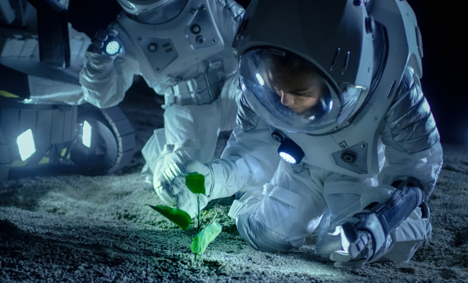 Breakthrough: Chickpeas Grown Successfully in Lunar Soil Simulation 