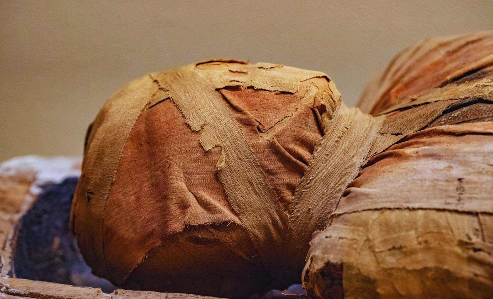 Ancient Siberian Mummy Unearthed With Remarkable Tattoos Preserved 
