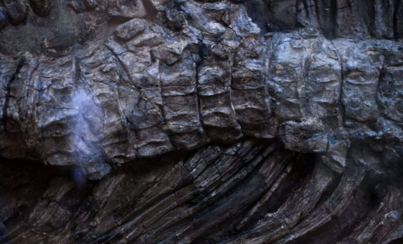 Discovery of a 92-Foot Jurassic Dinosaur Fossil Beneath a Chinese Construction Zone 