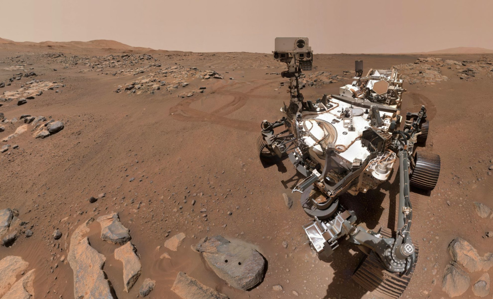 New Mars Rover Images Suggest Possible Insect and Reptile-Like Life on Red Planet 