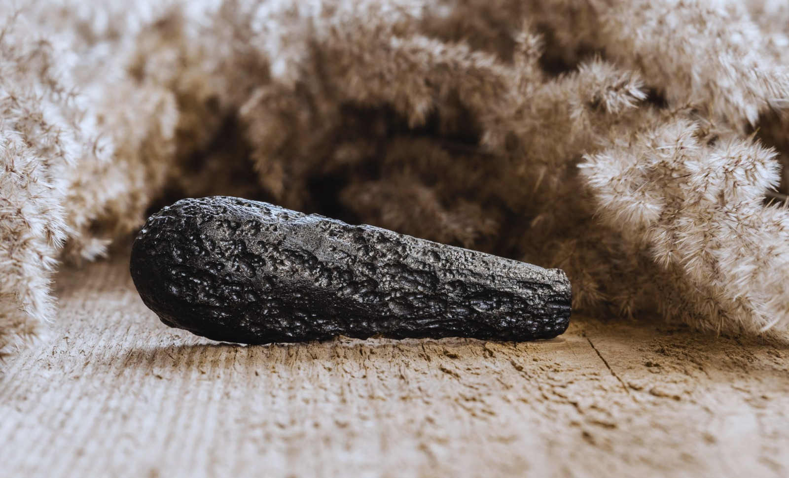 Ancient Water Found Encased in Black Martian Meteorite 