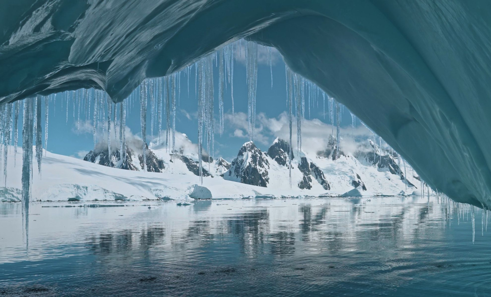 Scientists Unearth 3.7 Billion-Year-Old Fossils in Greenland, Shedding Light on Early Life 