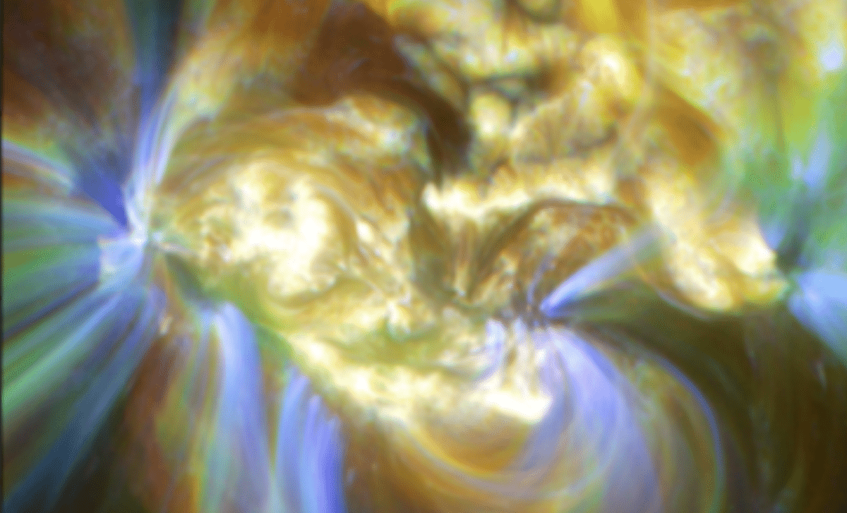 Citizen Scientists Reveal Elevated Solar Flare Activity in Extended Sunspot Regions 