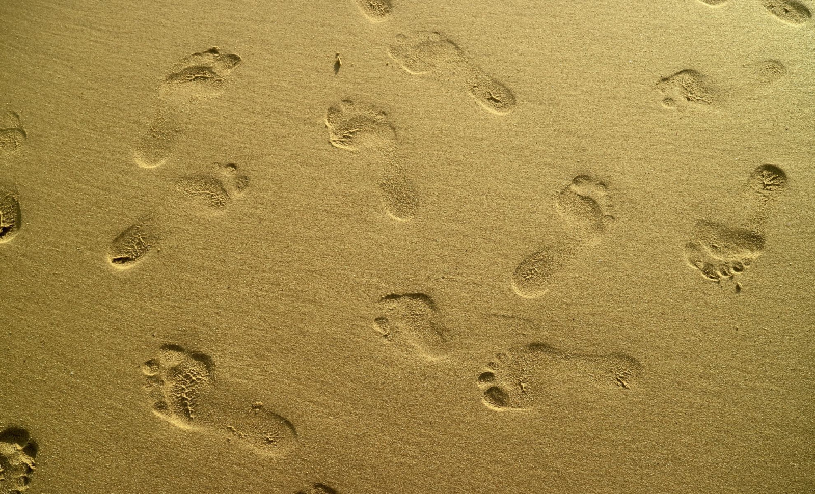 Ancient Human Footprints Uncovered on Remote Canadian Island Reveal Coastal Activity 