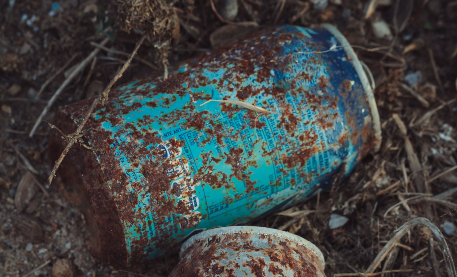 Researchers Unearth Four-Decade-Old Salmon Cans to Reveal Ocean Parasite Trends 