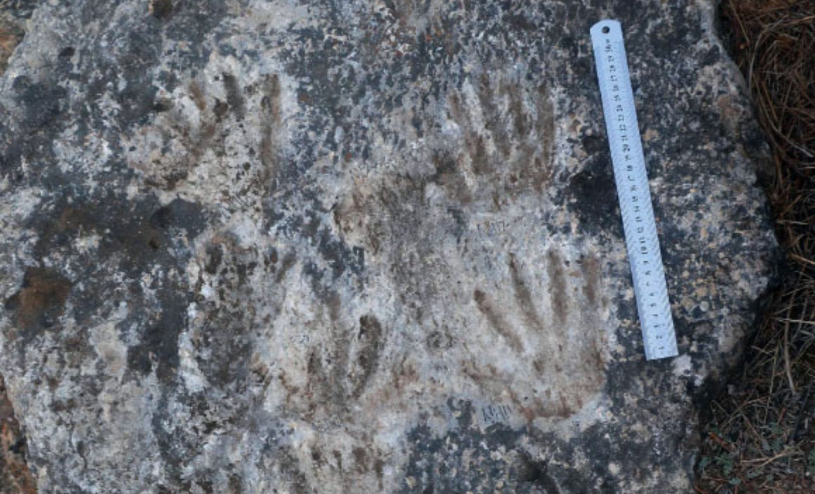 Ancient Hand and Foot Impressions on Tibetan Plateau Challenge Origins of Human Art 