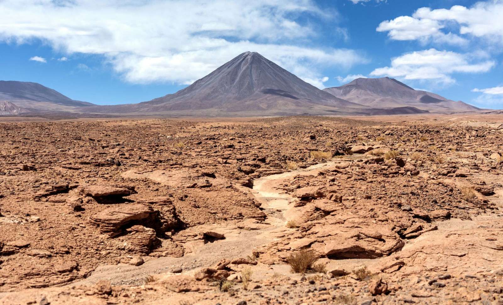 Underground Microbial Habitat Discovered Beneath Earth’s Driest Desert 