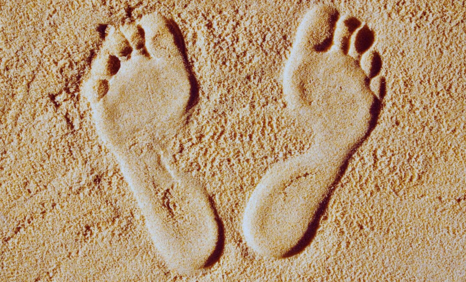 Ancient Human Footprints Over 12,000 Years Old Unearthed in Utah Desert 