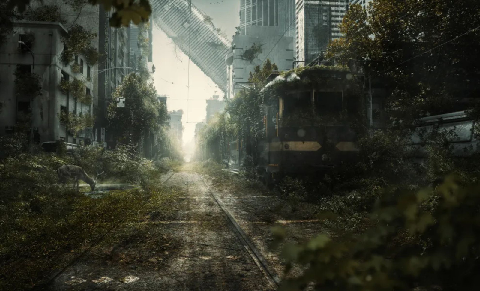 Which Animal Might Quietly Rule Earth If Humans Disappear? 