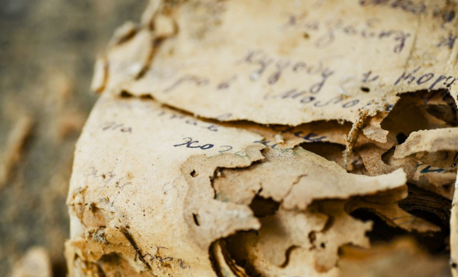 Ancient Letter Reveals Authenticity of Once-Mysterious Nubian King 
