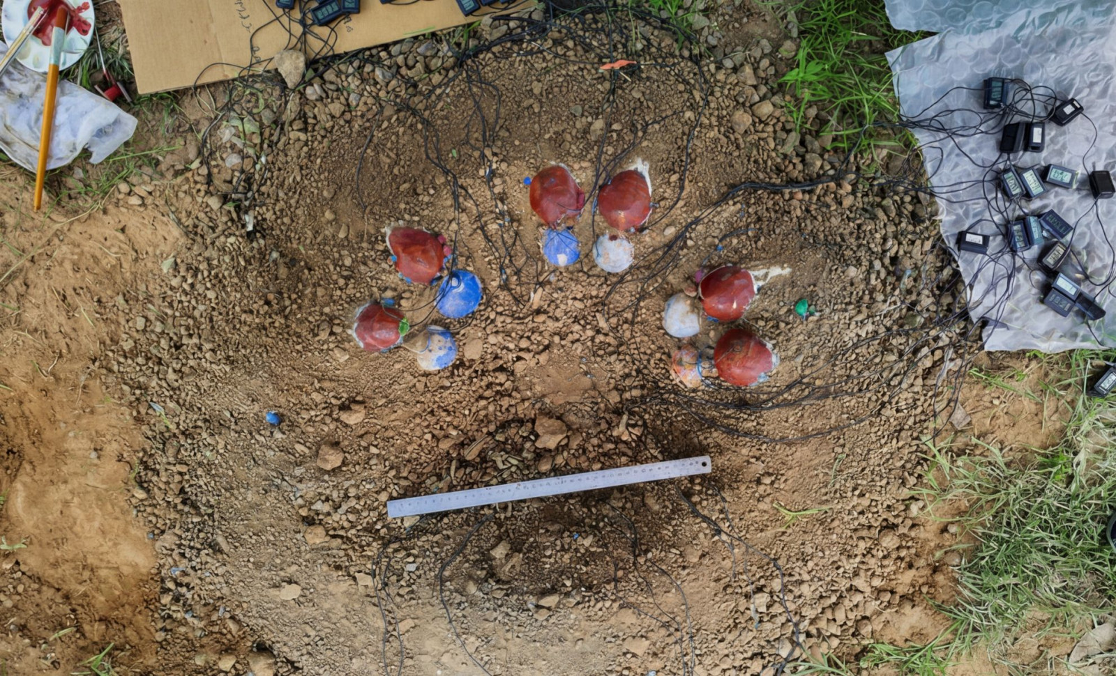 Scientists Recreate Dinosaur Nest to Uncover Why Oviraptor Eggs Hatched at Different Times 