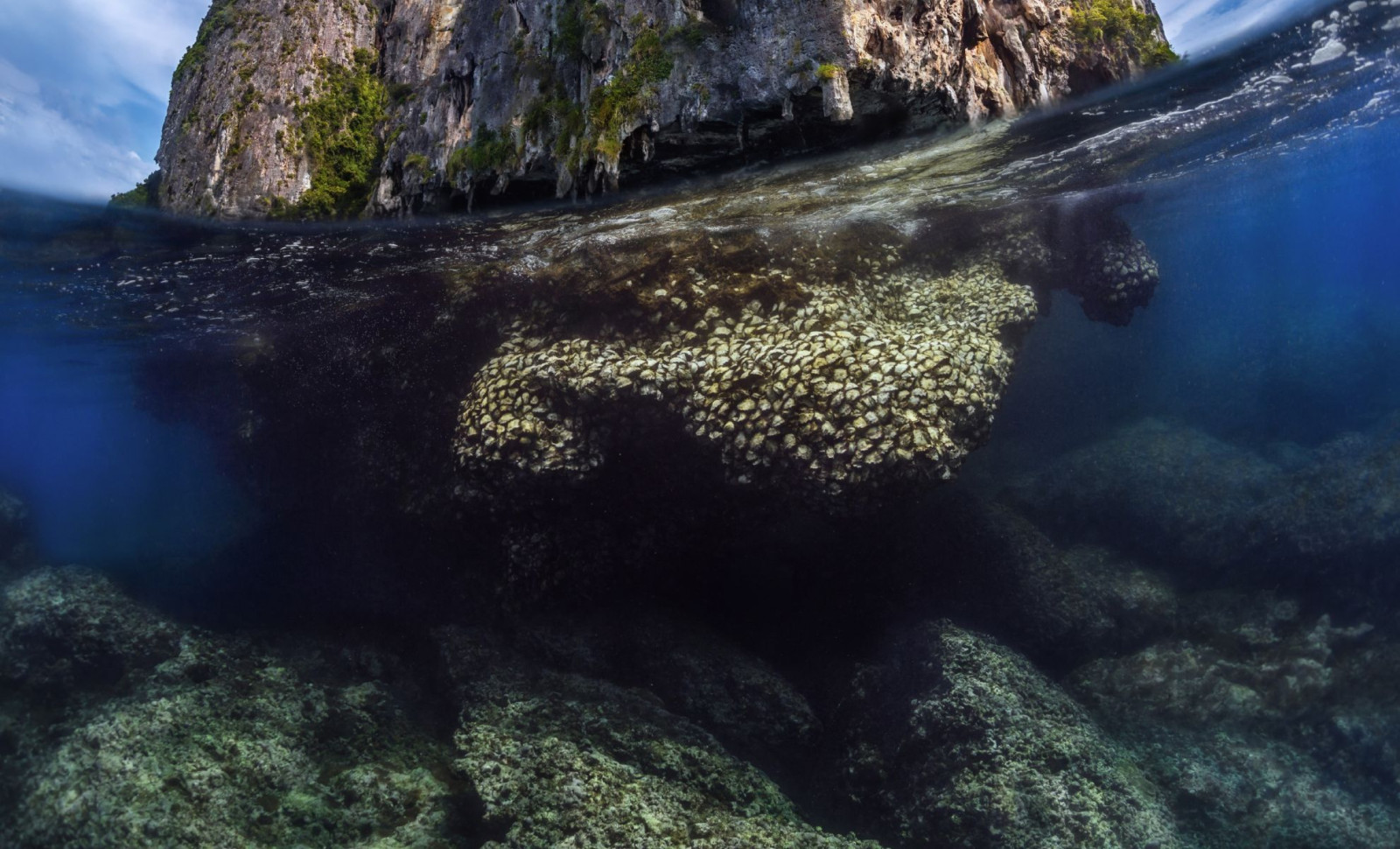 Ancient Submerged Land in Indonesia Sheds Light on Homo Erectus Lifestyle and Mobility 