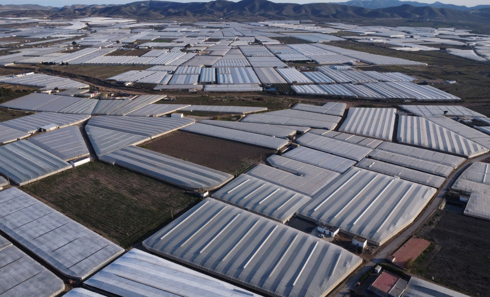 Spain’s Enormous Agricultural Greenhouse Complex Is the True Human-Made Landmark Visible from Orbit 