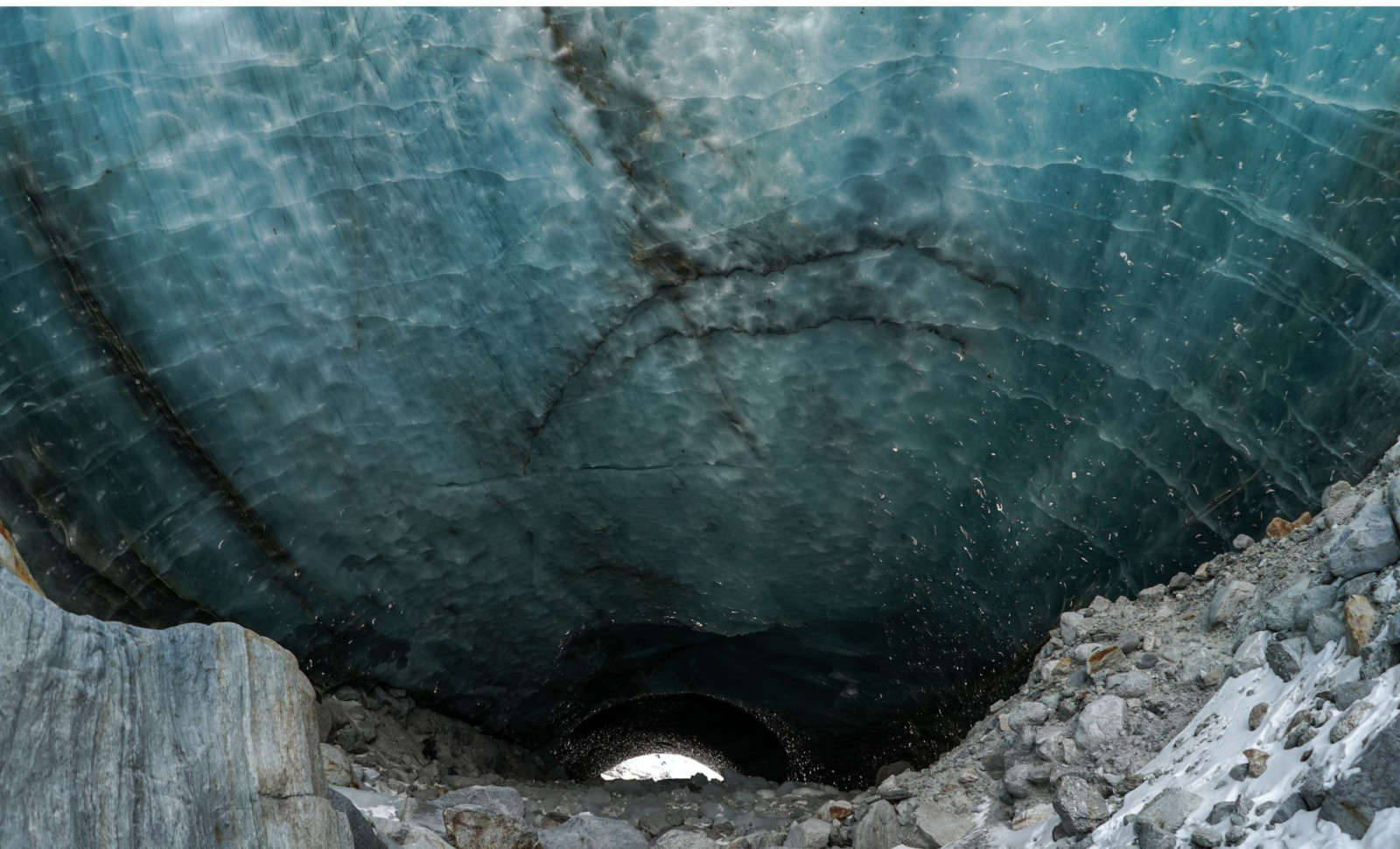Arctic Cave in Norway Unveils 46 Species from a 75,000-Year-Old Ecosystem 