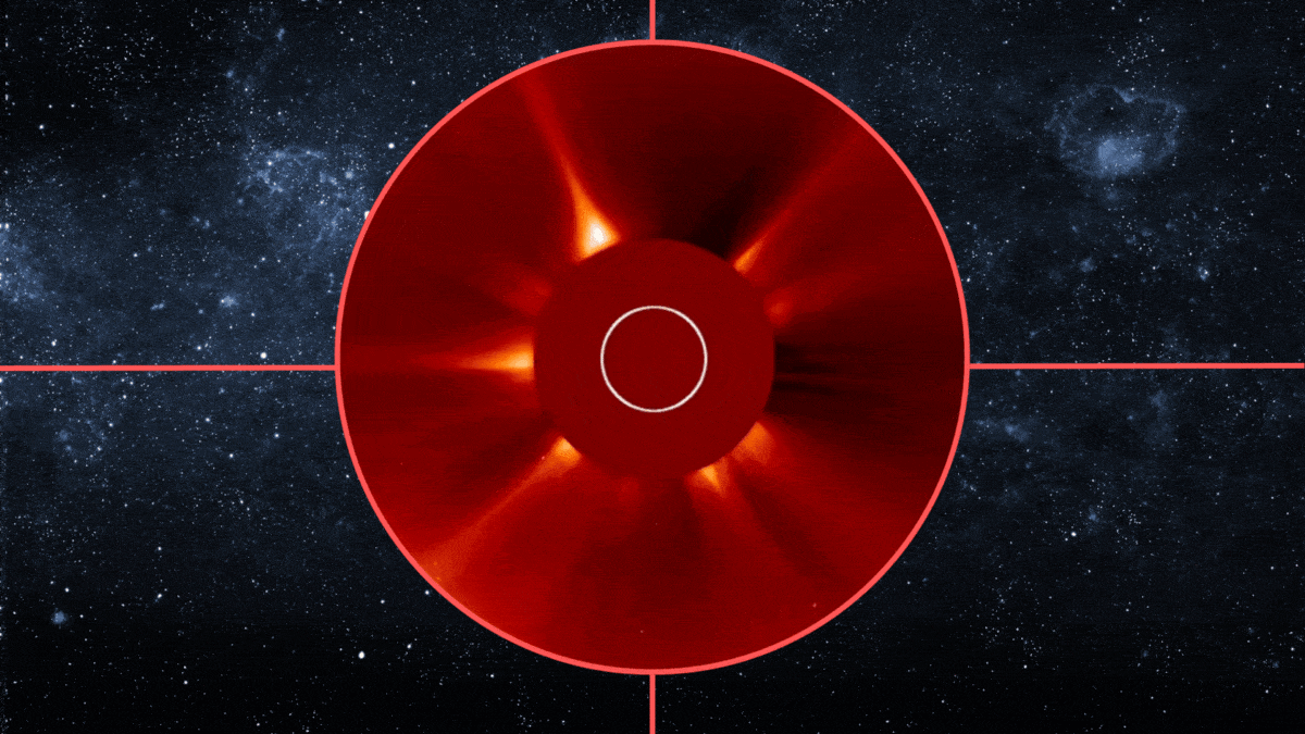 46fdfe8b95c54b370110226da90a6bab.gif
