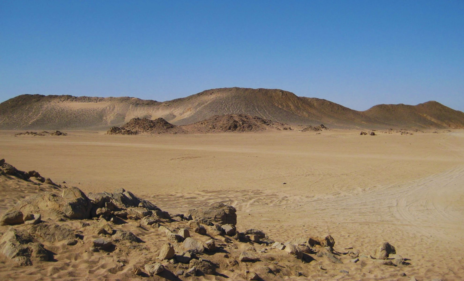 Ancient Ape Fossil in Northern Egypt Challenges Traditional Views on Human Evolution 