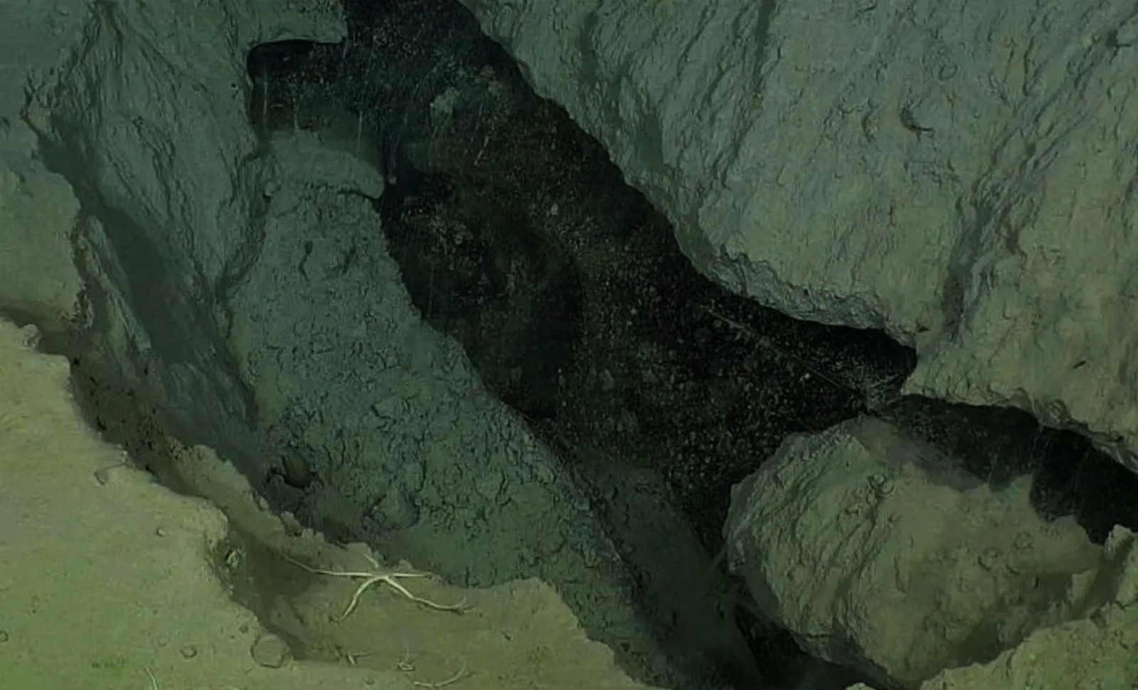Researchers Uncover Unexpected Active Ice Formations on the Arctic Seafloor 