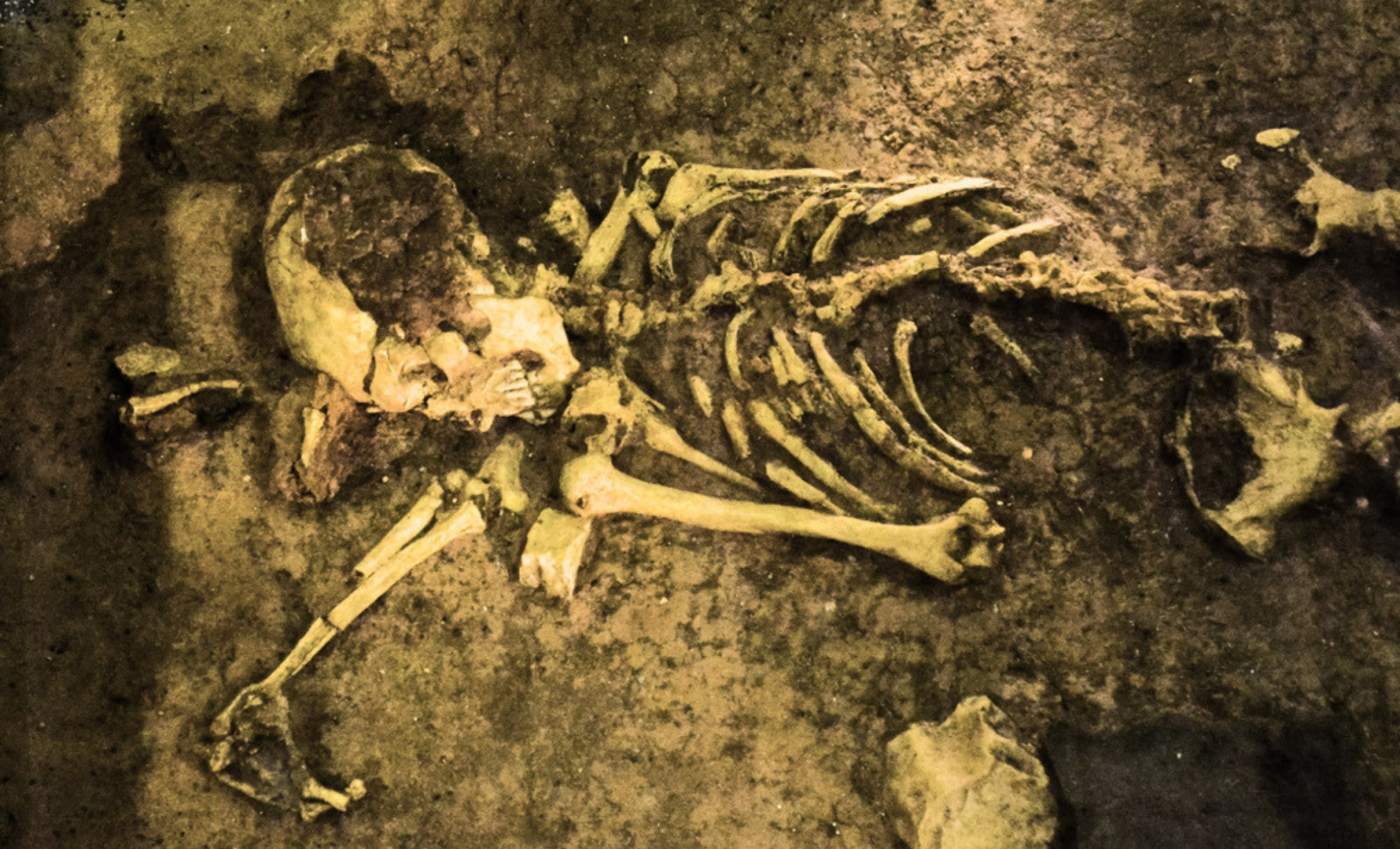 Ancient Sahara Skeletons Reveal Lost North African Genetic Lineage 