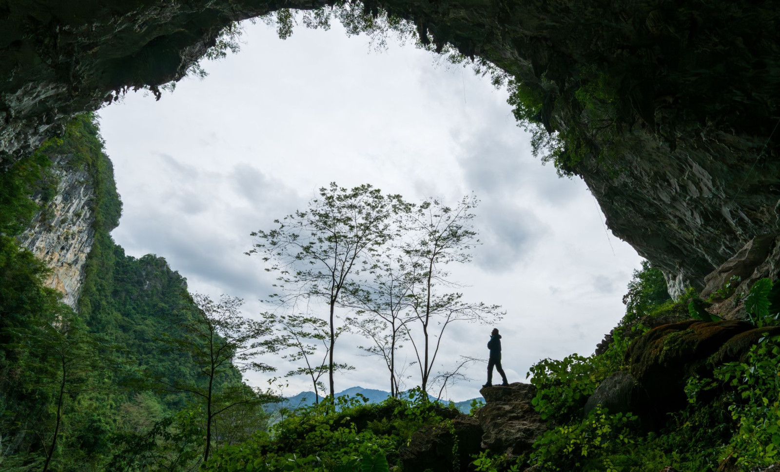 Hidden Forest Discovered 600 Feet Beneath a Massive Sinkhole in China 