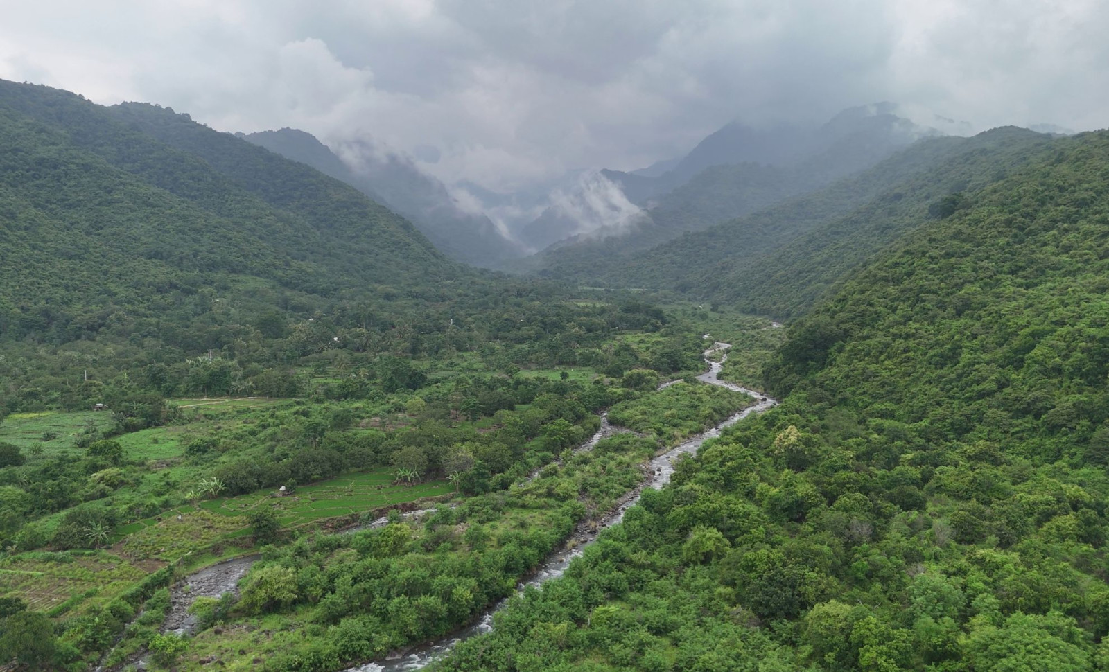 Ancient Sponge Fossil Discovery Near Yangtze River Closes a 160-Million-Year Gap 