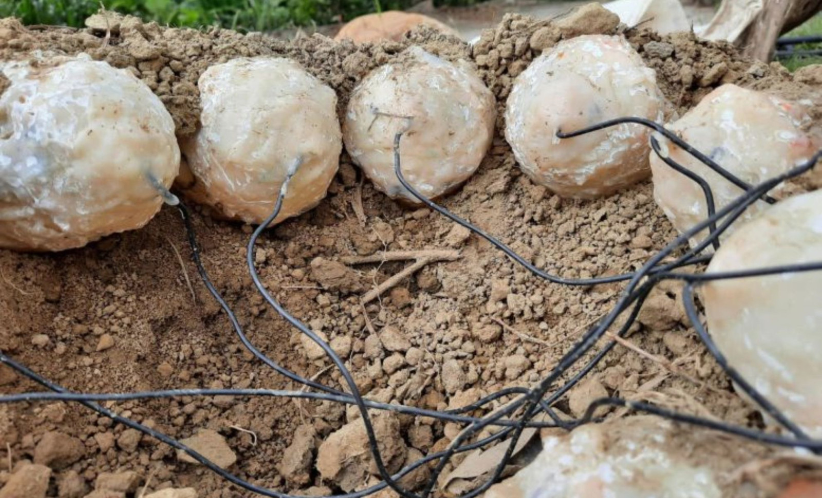 Taiwanese Researchers Recreate Life-Size Dinosaur Nest to Uncover Egg Incubation Secrets 