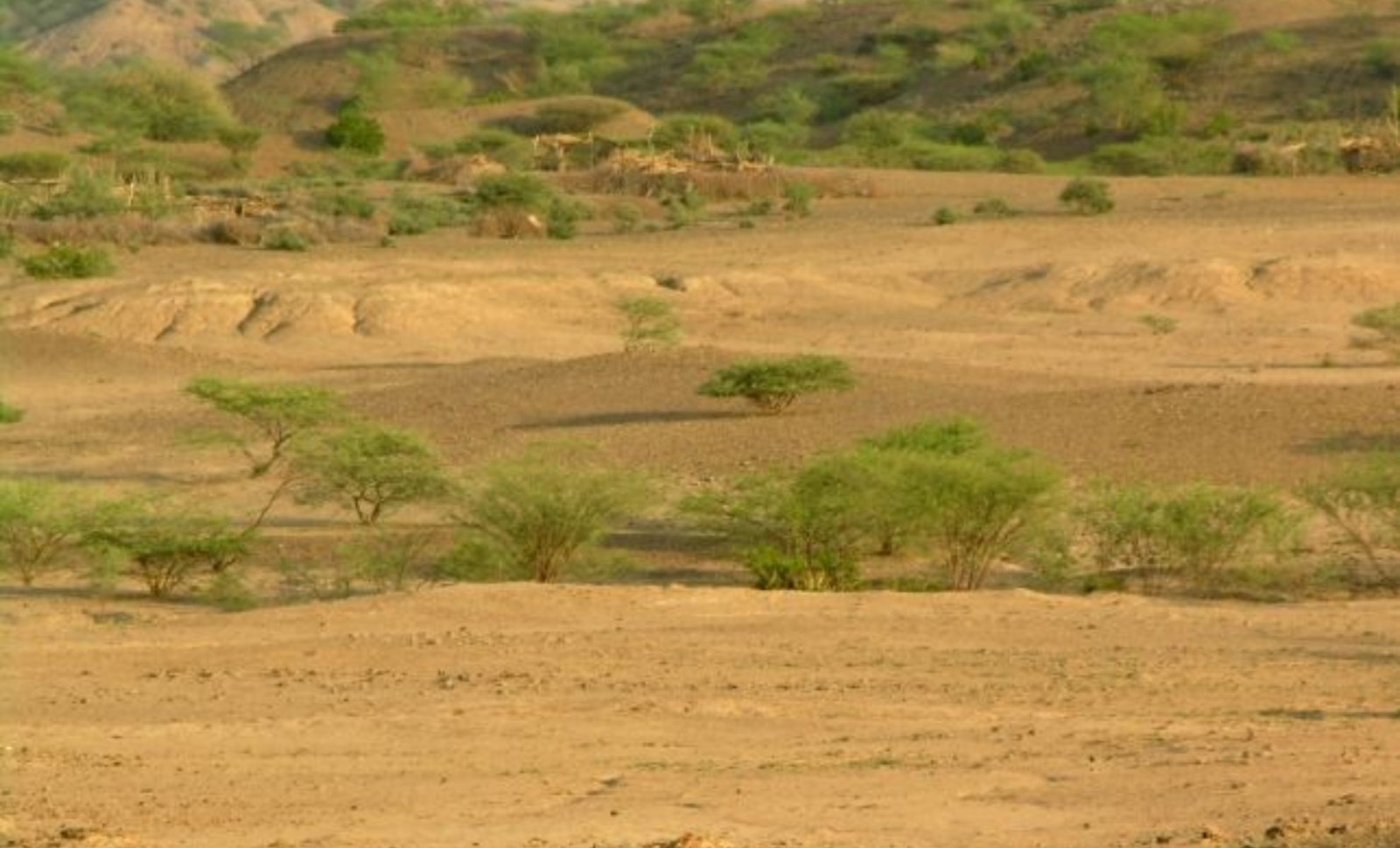 Ethiopian Site Unearths 100,000-Year-Old Human Activity With Thousands of Tools and Faunal Remains 