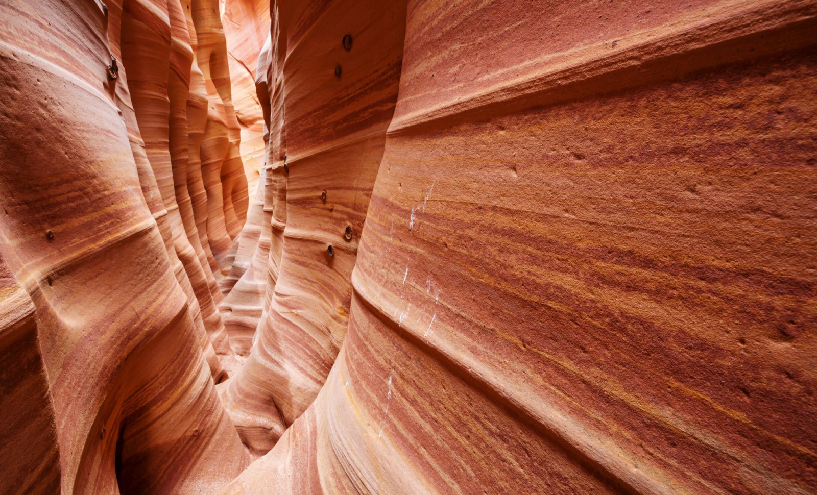 Explorers Reveal Over 10 Kilometers of Subterranean Caves Beneath the Grand Canyon and a Rapid Water Flow System 